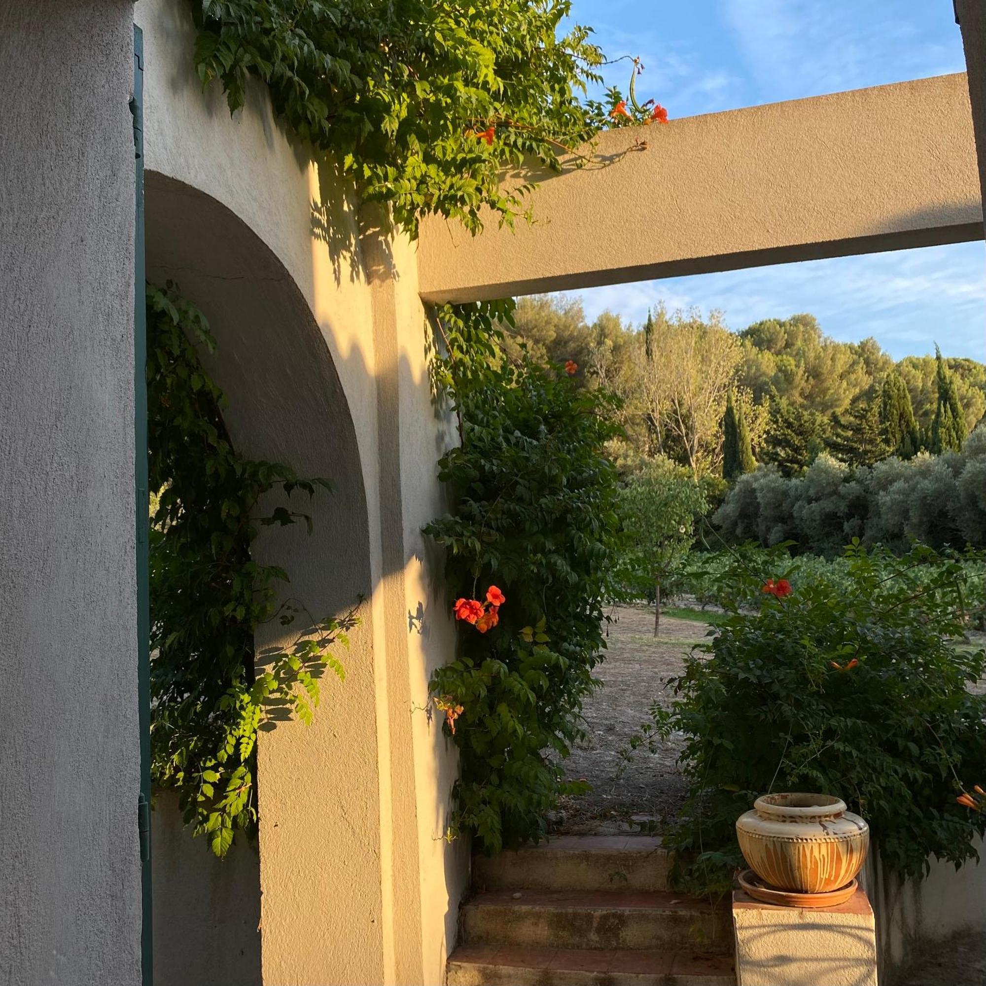 Villavos- Le Bocage Cassis Eksteriør billede